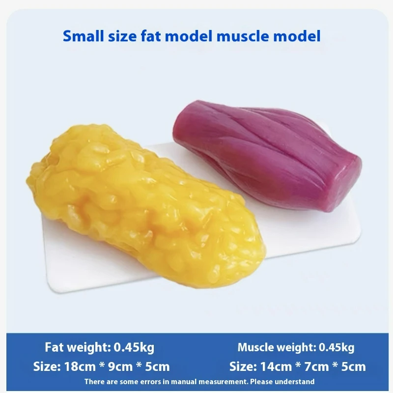 Human Muscle and Fat Replicas  - Nutrition In Fitness recension och pris