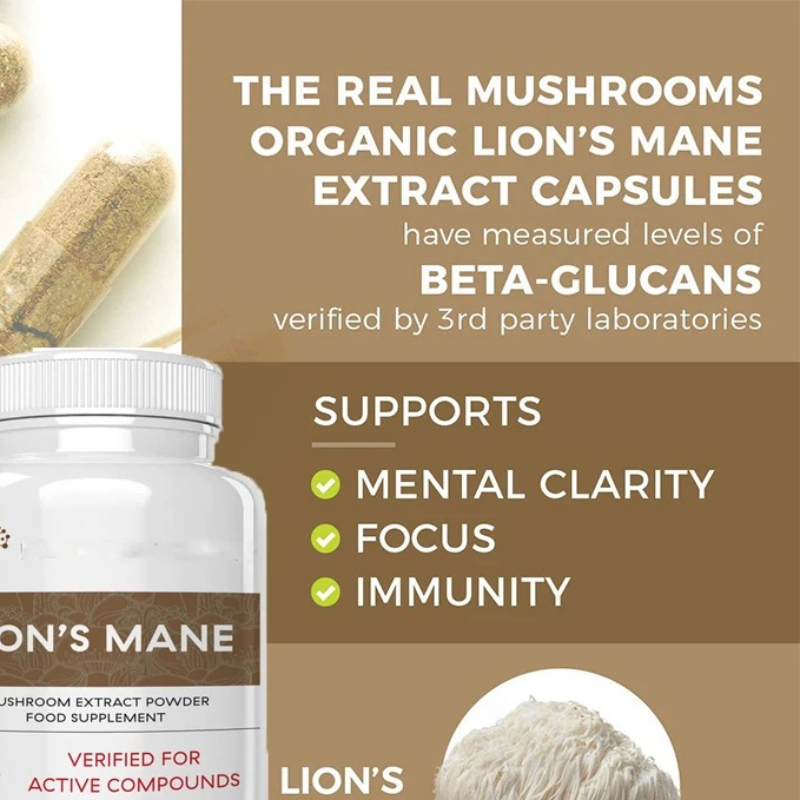 Lion Mane Ganoderma Mushroom C - Lion Mane Mushroom recension och pris