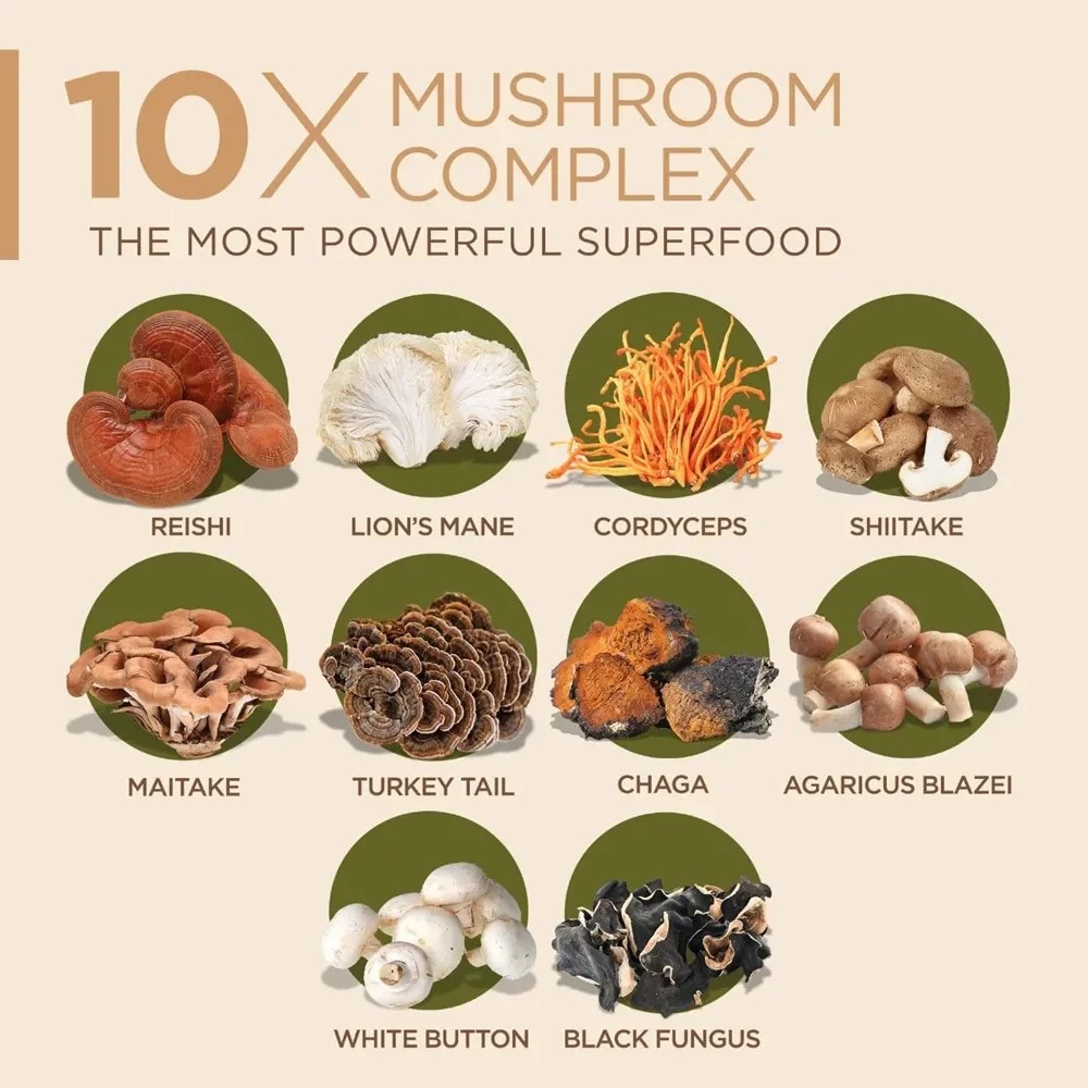 Advanced 10 Mushroom Complex T - Lion Mane Mushroom recension och pris